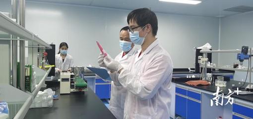 走進高新區·感受新發展丨產值將突破50億元!梅州平遠南藥產業向全產業鏈邁進