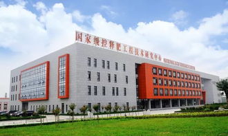 利辛農(nóng)民,土壤可以通過(guò)修復(fù),實(shí)現(xiàn)作物高產(chǎn),金正大國(guó)際富朗產(chǎn)品將在利辛,開(kāi)啟親土種植新時(shí)代